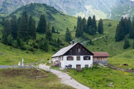 Tannheimer Tal: Älpele Alpe (Tannheim)