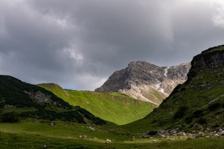 Tannheimer Tal: Über die Älpele Alp auf die Zererköpfle und über das Gaiseck auf das Gaishorn (Tannheim)