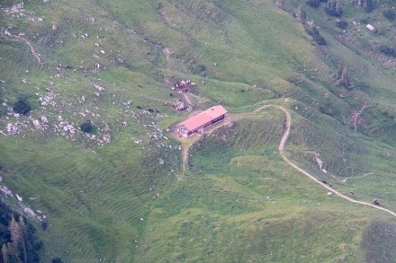 Tannheimer Tal: Ober Roßalpe (Tannheim)