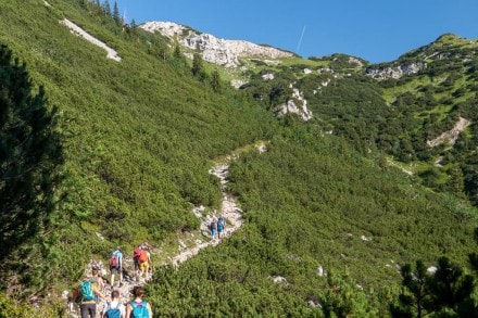 Tannheimer Tal: Gräner und Tannheimer Höhenweg (Grän)