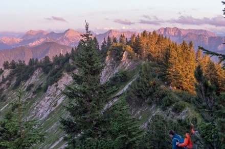 Ammergauer Berge: Von Pflach aus auf den Zunderkopf, Jochberg (Koflerjoch) und Dürrenberg (Reutte)