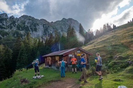 Tirol: Hahlesalpe (Pflach)