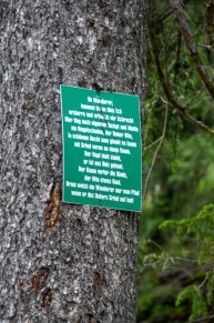 Tannheimer Tal: Wandererspruch auf den Weg von Nesselwängle zum Gimpelhaus (Nesselwängle)