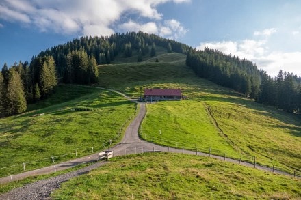 Oberallgäu: Alpe Fahnengehren (Sonthofen)