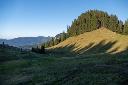 Oberallgäu: Hühnermoos (Sonthofen)