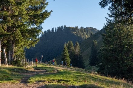 Oberallgäu: Sonnenkopf (Sonthofen)