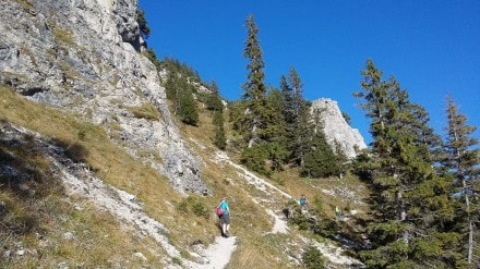 Tannheimer Tal: Der Einstein im Tannheimer Tal (Tannheim)