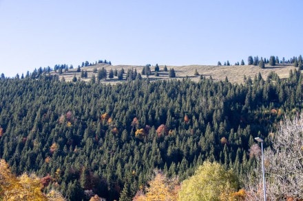 5 Gipfel Tour (Ornach, Jochschrofen, Martinshorn, Hirschberg und Spieser) 