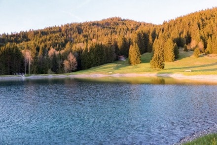 Tirol: Hhenweg-Teich (1.100m) (Jungholz)