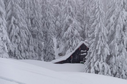 Oberallgäu:  (Rettenberg)