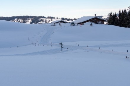 Oberallgäu: Gschwender Horn und Alpe Gschwenderberg (Immenstadt)