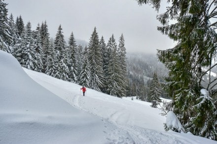 Oberallgäu: Schneeschuhtour auf die Printschenhütte (Gunzesried)