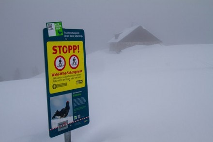 Oberallgäu: Printschenhütte (Gunzesried)