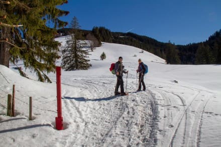 Oberallgäu: Schneeschuhtour zur Alpe Gschwenderberg (Immenstadt)