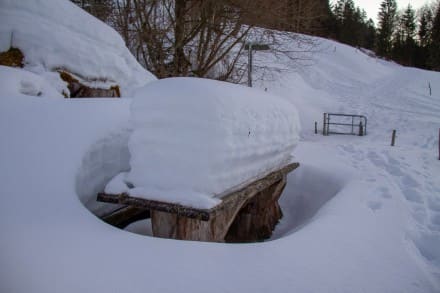 Oberallgäu: Alpe Gschwenderberg (Immenstadt)