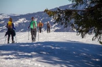 Oberallgäu: Mittelbergalpe zur Höllritzer Alpe (Gunzesried)