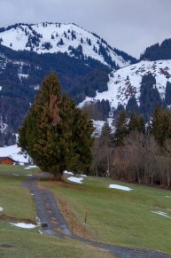 Oberallgäu: Rundwanderweg um Oberdorf bei Obermaiselstein (Obermaiselstein)