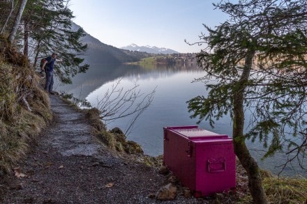 Oberallgäu: Weißensee (Pfronten)