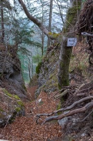 Oberallgäu: Weber Fall (Pfronten)