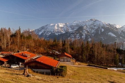 Oberallgäu: Neue Saloberalpe (Pfronten)