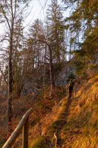 Oberallgäu: Tour (Pfronten)