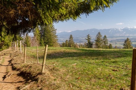 Oberallgäu: Jägersteig (Marktoberdorf)