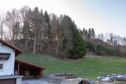 Oberallgäu: Von Bernbeuren über die Feuersteinschlucht und Jägersteig auf den Auerberg (Marktoberdorf)