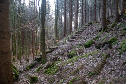 Oberallgäu: Tour (Immenstadt)