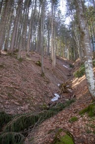 Oberallgäu: Luimweg (Missen)