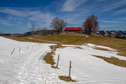 Oberallgäu: Über den Luimweg zum Seeblick und Köpfle (Missen)