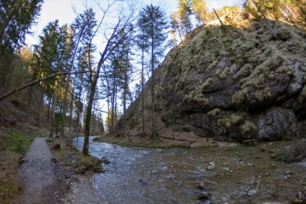 Über den Steigbachtobel zum Naturfreundehaus bei Immenstadt