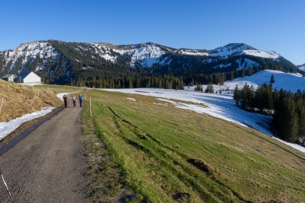 Oberallgäu: Tour (Immenstadt)