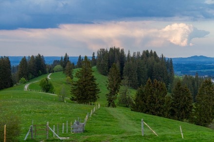 Oberallgäu: Von Faistenoy zur Ellegghöhe und Burgkranzegger Horn (Wertach)