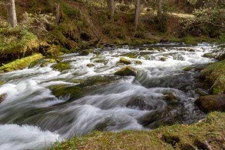 Video: Am Schwarzwasserbach