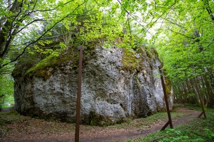 Oberallgäu: Findling Dengelstein (Betzigau)