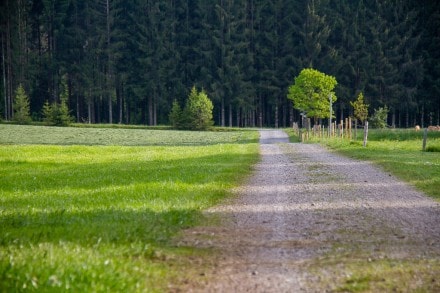 Oberallgäu: Tour (Betzigau)