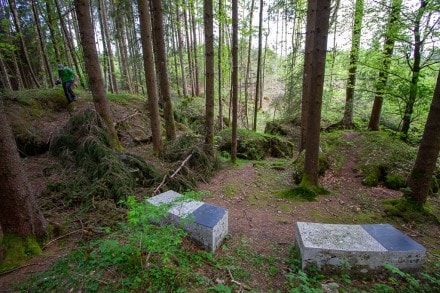 Oberallgäu: Burgruine Schöneberg, Bauernfliehburg Bodelsberg und die Findlinge im Kemptener Wald (Betzigau)