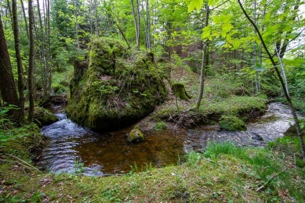 Oberallgäu: Ehemaliger Weiher (Langeneckbach) (Betzigau)