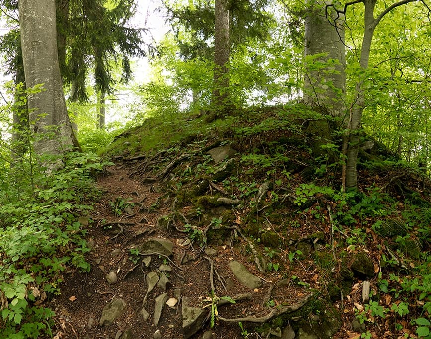 Burgstall Hinang<br />(Sonthofen - Oberallgäu / 2019)