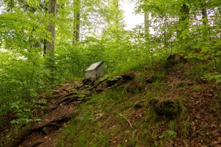 Oberallgäu: Burgstall Hinang (Sonthofen)