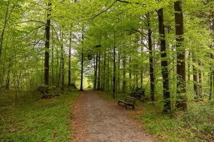 Oberallgäu: Walderlebnisweg (Sonthofen)