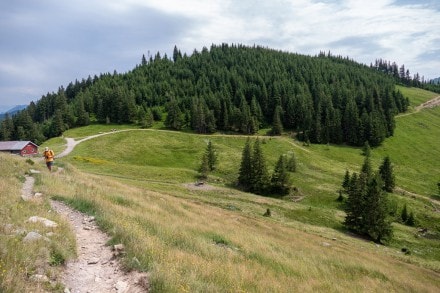 Tirol: Über den Pfeifferberg auf die Reuter Wanne und Auf der Blöße (Jungholz)