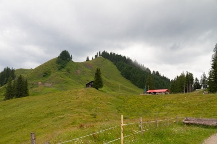 Oberallgäu: Über den Gratweg auf die Alpsitz (Nesselwang)