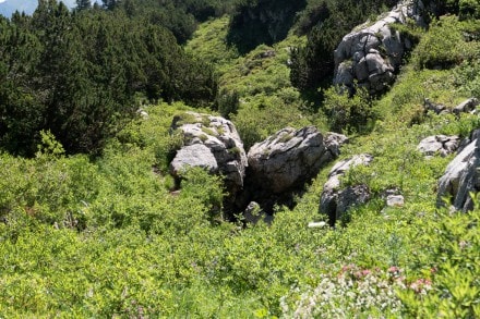 Kleinwalser Tal: Doline (Rietzlern)