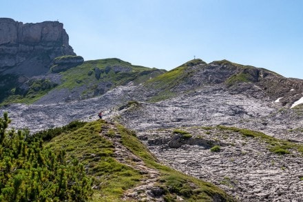 Kleinwalser Tal: Über das Gottesacker-Plateau auf das Hahnenköpfle (Rietzlern)