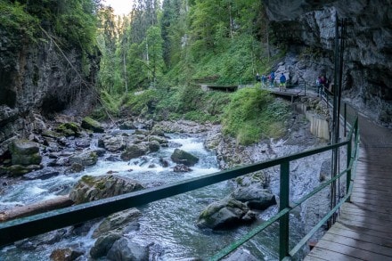 Oberallgäu: Tour (Oberstdorf)