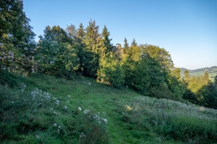 Oberallgäu: Ruine Vorderburg (Rettenberg)