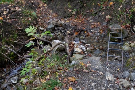 Oberallgäu: Falkentobelweg (Tiefenbach)