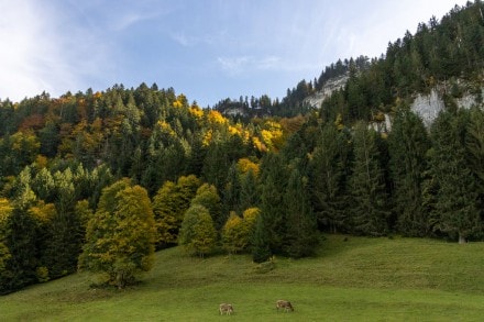 Oberallgäu: Hermannstein (Tiefenbach)