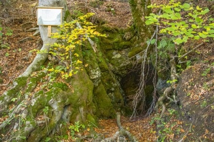 Oberallgäu: Ältester Wohnplatz des Allgäus (Steinzeithöhle) (Tiefenbach)